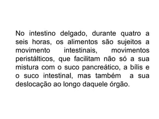 No intestino delgado, durante quatro a seis horas, os alimentos são sujeitos a movimento intestinais, movimentos peristálticos, que facilitam não só a sua mistura com o suco pancreático, a bílis e o suco intestinal, mas também  a sua deslocação ao longo daquele órgão. 