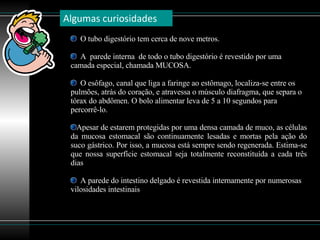 O tubo digestório tem cerca de nove metros. A  parede interna  de todo o tubo digestório é revestido por uma camada especial, chamada MUCOSA.  O esôfago, canal que liga a faringe ao estômago, localiza-se entre os pulmões, atrás do coração, e atravessa o músculo diafragma, que separa o tórax do abdômen. O bolo alimentar leva de 5 a 10 segundos para percorrê-lo. Apesar de estarem protegidas por uma densa camada de muco, as células da mucosa estomacal são continuamente lesadas e mortas pela ação do suco gástrico. Por isso, a mucosa está sempre sendo regenerada. Estima-se que nossa superfície estomacal seja totalmente reconstituída a cada três dias A parede do intestino delgado é revestida internamente por numerosas vilosidades intestinais Algumas curiosidades 