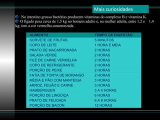 No intestino grosso bactérias produzem vitaminas do complexo B e vitamina K. O fígado pesa cerca de 1,5 kg no homem adulto e, na mulher adulta, entre 1,2 e  1,4 kg; tem a cor vermelho-amarronzada. Mais curiosidades ALIMENTO TEMPO DE DIGESTÃO SORVETE DE FRUTAS  5 MINUTOS COPO DE LEITE 1 HORA E MEIA  PRATO DE MACARRONADA  2 HORAS  SALADA VERDE  2 HORAS FILÉ DE CARNE VERMELHA  2 HORAS  COPO DE REFRIGERANTE 2 HORAS PORÇÃO DE PEIXE  2 HORAS  FATIA DE TORTA DE MORANGO 2 HORAS MÉDIA E PÃO COM MANTEIGA  3 HORAS ARROZ, FEIJÃO E CARNE  3 HORAS  HAMBÚRGUER  3 A 4 HORAS PORÇÃO DE LINGÜIÇA  6 HORAS  PRATO DE FEIJOADA  6 A 8 HORAS PORÇÃO DE BACON  12 HORAS  