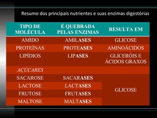 Resumo dos principais nutrientes e suas enzimas digestórias TIPO DE MOLÉCULA É QUEBRADA PELAS ENZIMAS RESULTA EM AMIDO AMIL ASES GLICOSE PROTEÍNAS PROTE ASES AMINOÁCIDOS LIPÍDIOS LIP ASES GLICERÓIS E ÁCIDOS GRAXOS AÇÚCARES SACAROSE SACAR ASES GLICOSE LACTOSE LACT ASES FRUTOSE FRUT ASES MALTOSE MALT ASES 