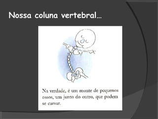 Nossa coluna vertebral… 