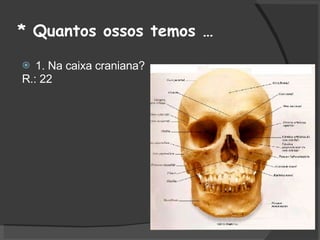 * Quantos ossos temos … 1. Na caixa craniana?  R.: 22 