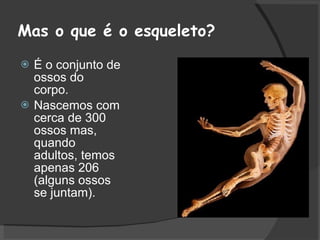 Mas o que é o esqueleto? É o conjunto de ossos do corpo. Nascemos com cerca de 300 ossos mas, quando adultos, temos apenas 206 (alguns ossos se juntam). 