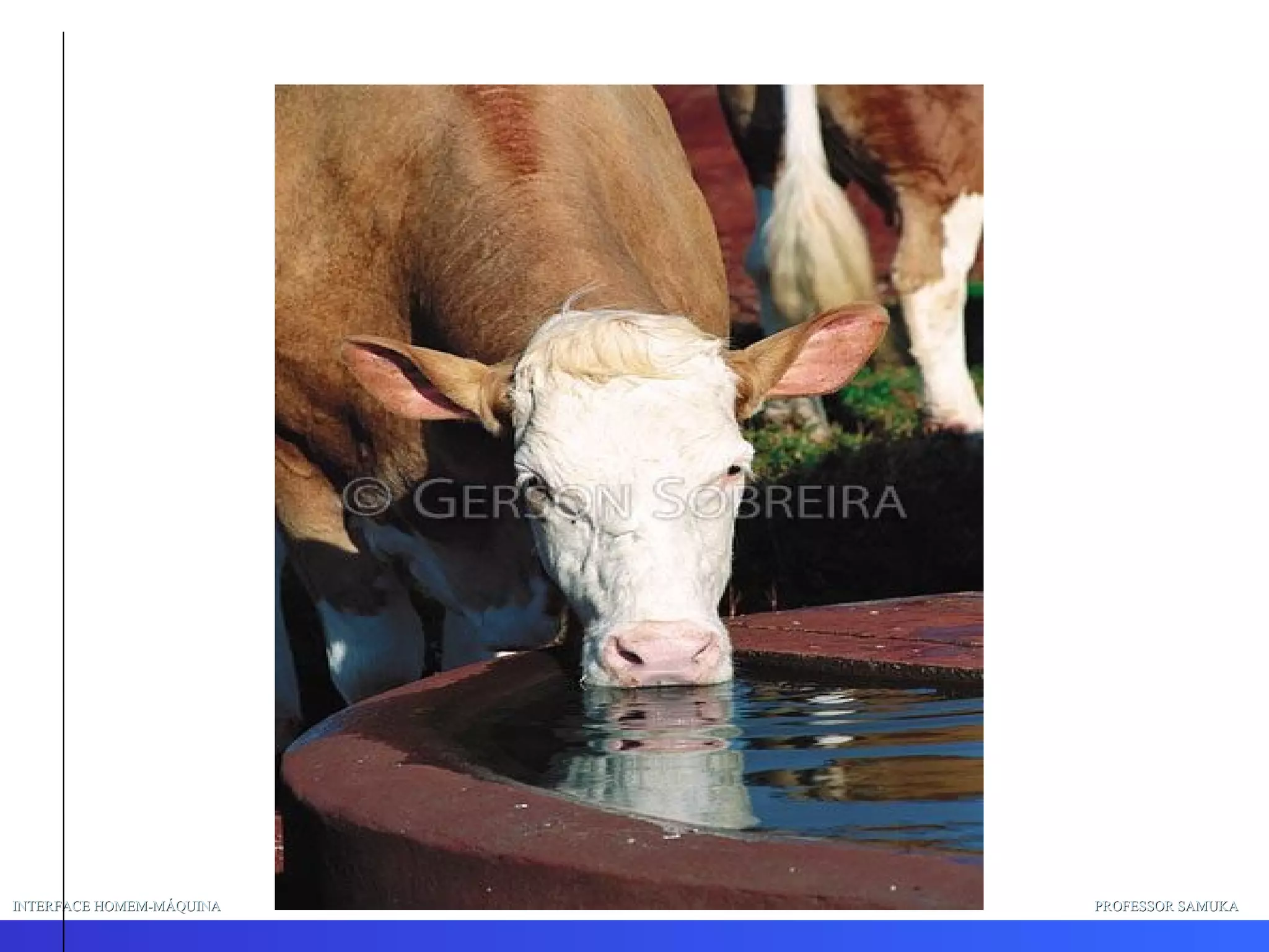 INTERFACE HOMEM-MÁQUINA PROFESSOR SAMUKA 