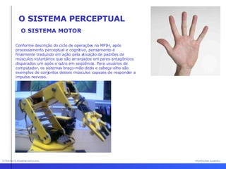 INTERFACE HOMEM-MÁQUINA PROFESSOR SAMUKA O SISTEMA MOTOR Conforme descrição do ciclo de operações no MPIH, após processamento perceptual e cognitivo, pensamento é  finalmente traduzido em ação pela ativação de padrões de  músculos voluntários que são arranjados em pares antagônicos disparados um após o outro em seqüência. Para usuários de computador, os sistemas braço-mão-dedo e cabeça-olho são exemplos de conjuntos desses músculos capazes de responder a impulso nervoso. O SISTEMA PERCEPTUAL 