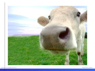 INTERFACE HOMEM-MÁQUINA PROFESSOR SAMUKA 