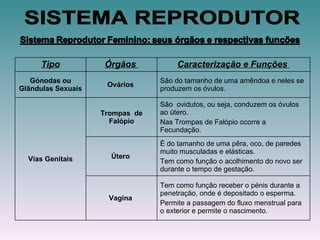 SISTEMA REPRODUTOR Tipo Órgãos  Caracterização e Funções  Gónodas ou Glândulas Sexuais Ovários  São do tamanho de uma amêndoa e neles se produzem os óvulos.  Vias Genitais Trompas  de Falópio São  ovidutos, ou seja, conduzem os óvulos ao útero. Nas Trompas de Falópio ocorre a Fecundação. Útero  É do tamanho de uma pêra, oco, de paredes muito musculadas e elásticas.  Tem como função o acolhimento do novo ser durante o tempo de gestação. Vagina  Tem como função receber o pénis durante a penetração, onde é depositado o esperma. Permite a passagem do fluxo menstrual para o exterior e permite o nascimento. 