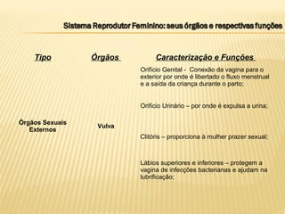 Tipo Órgãos Caracterização e Funções
Órgãos Sexuais
Externos
Vulva
Orifício Genital - Conexão da vagina para o
exterior por onde é libertado o fluxo menstrual
e a saída da criança durante o parto;
Orifício Urinário – por onde é expulsa a urina;
Clitóris – proporciona à mulher prazer sexual;
Lábios superiores e inferiores – protegem a
vagina de infecções bacterianas e ajudam na
lubrificação;
 