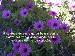 A certeza de que algo de bom e bonito  existe nos faz guardar ainda acesa  a chama dentro do coração. 