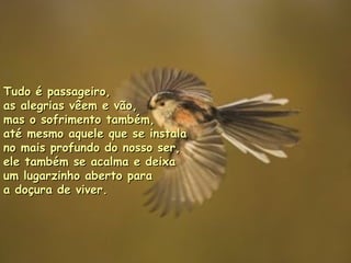 Tudo é passageiro,  as alegrias vêem e vão,  mas o sofrimento também,  até mesmo aquele que se instala  no mais profundo do nosso ser,  ele também se acalma e deixa  um lugarzinho aberto para  a doçura de viver.   