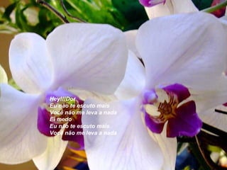 Hey!!!Dor Eu não te escuto mais Você não me leva a nada Ei medo Eu não te escuto mais Você não me leva a nada   