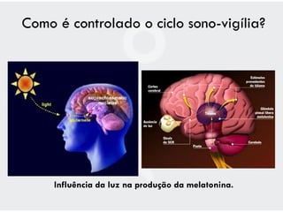 Como é controlado o ciclo sono-vigília?




     Influência da luz na produção da melatonina.
 