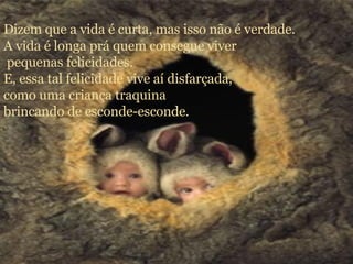 Dizem que a vida é curta, mas isso não é verdade. A vida é longa prá quem consegue viver pequenas felicidades. E, essa tal felicidade vive aí disfarçada, como uma criança traquina brincando de esconde-esconde. 