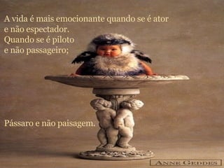 A vida é mais emocionante quando se é ator e não espectador. Quando se é piloto e não passageiro; Pássaro e não paisagem. 