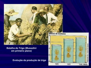 Batalha do Trigo (Mussolini em primeiro plano) Evolução da produção de trigo 