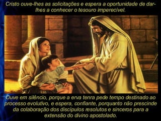 Cristo ouve-lhes as solicitações e espera a oportunidade de dar-lhes a conhecer o tesouro imperecível. Ouve em silêncio, porque a erva tenra pede tempo destinado ao processo evolutivo, e espera, confiante, porquanto não prescinde da colaboração dos discípulos resolutos e sinceros para a extensão do divino apostolado. 