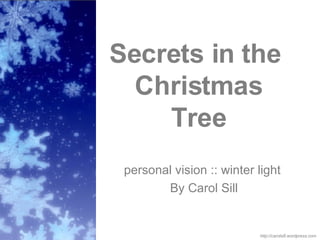 Secrets in the  Christmas Tree personal vision :: winter light  By Carol Sill http://carolsill.wordpress.com 