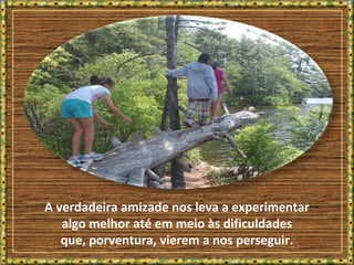 A verdadeira amizade nos leva a experimentar
algo melhor até em meio às dificuldades
que, porventura, vierem a nos perseguir.
 