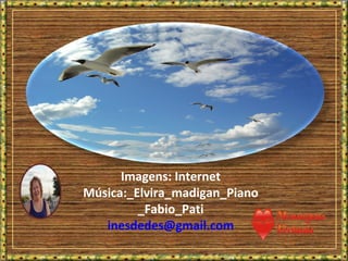 Imagens: Internet
Música:_Elvira_madigan_Piano
_Fabio_Pati
inesdedes@gmail.com
 