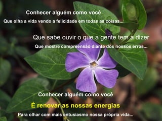 Conhecer alguém como você Que olha a vida vendo a felicidade em todas as coisas... Que sabe ouvir o que a gente tem a dizer Que mostre compreensão diante dos nossos erros... Conhecer alguém como você É renovar as nossas energias Para olhar com mais entusiasmo nossa própria vida...   