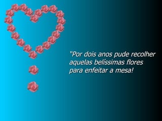 “ Por dois anos pude recolher aquelas belíssimas flores para enfeitar a mesa! 