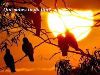 Que sabes tu do fim?

 