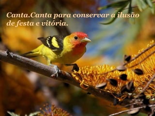 Canta.Canta para conservar a ilusão
de festa e vitória.

 