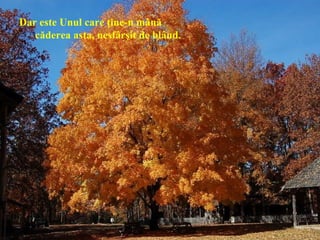 Dar este Unul care ţine-n mână
căderea asta, nesfârşit de blând.
 