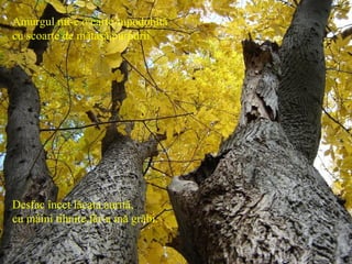 Amurgul mi-e o carte-mpodobită
cu scoarţe de mătasă,purpurii
Desfac încet lăcata aurită,
cu mâini tihnite,făr-a mă grăbi.
 