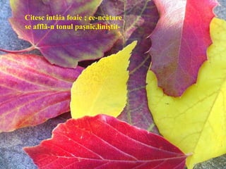 Citesc întâia foaie ; ce-ncâtare
se afflă-n tonul paşnic,liniştit-
 