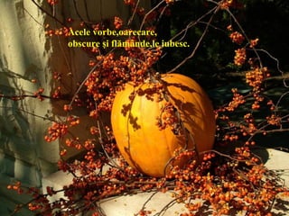 Acele vorbe,oarecare,
obscure şi flămânde,le iubesc.
 