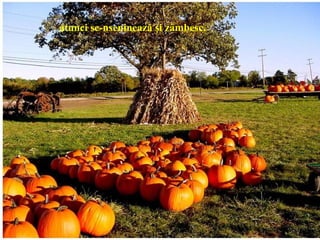 atunci se-nseninează şi zâmbesc.
 