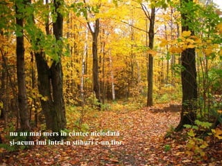 nu au mai mers în cântec niciodată
şi-acum îmi intră-n stihuri c-un fior.
 