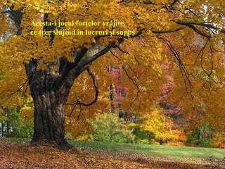 Acesta-i jocul forţelor vrăjite,
ce trec slujind în lucruri şi supus
 