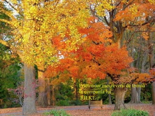 Prietenilor mei,reverii de tomnă
în compania lui
RILKE
 