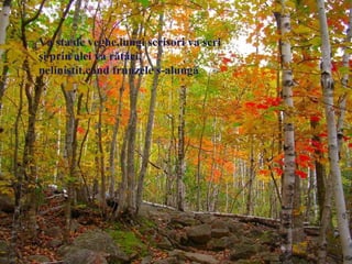 Va sta de veghe,lungi scrisori va scri
şi prin alei va rătăci,
neliniştit,când frunzele s-alungă
 