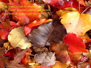 Cad frunzele,cad de departe, parcă
s-ar veşteji în ceruri grădini îndepărtate
cu gesturi de negare cad mereu.
 