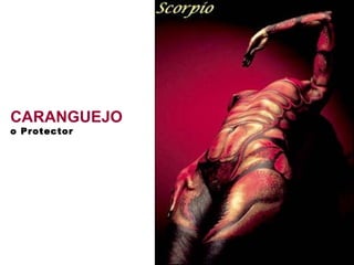 CARANGUEJO   o Protector   
