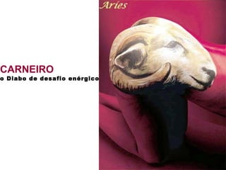 CARNEIRO o Diabo de desafio enérgico   