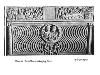 Baebia Hertofilia szarkogág, 3.sz. ardita capra 