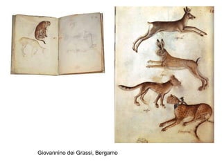 Giovannino dei Grassi, Bergamo 
