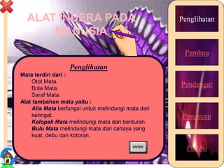 ALAT INDERA PADA
MANUSIA
Penglihatan
Pembau
Pendengar
Pengecap
Peraba
Penglihatan
Mata terdiri dari :
Otot Mata.
Bola Mata.
Saraf Mata.
Alat tambahan mata yaitu :
Alis Mata berfungsi untuk melindungi mata dari
keringat.
Kelopak Mata melindungi mata dari benturan.
Bulu Mata melindungi mata dari cahaya yang
kuat, debu dan kotoran.
10
 