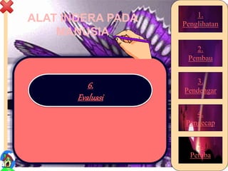 ALAT INDERA PADA
MANUSIA
2
1.
Penglihatan
2.
Pembau
3.
Pendengar
4.
Pengecap
5.
Peraba
6.
Evaluasi
 