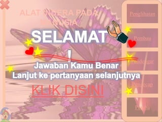 ALAT INDERA PADA
MANUSIA
25
Penglihatan
Pembau
Pendengar
Pengecap
Peraba
KLIK DISINI
 