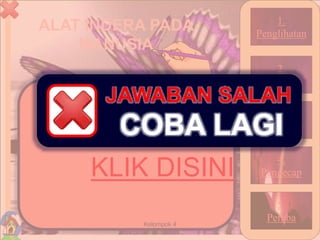 ALAT INDERA PADA
MANUSIA
26Kelompok 4
1.
Penglihatan
2.
Pembau
3.
Pendengar
4.
Pengecap
5.
Peraba
KLIK DISINI
COBA LAGI
JAWABAN SALAH
 