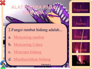 ALAT INDERA PADA
MANUSIA
2.Fungsi rambut hidung adalah...
a. Menyaring rambut
b. Menyaring Udara
c. Menyapu hidung
d. Membersihkan hidung
27Kelompok 4
1.
Penglihatan
2.
Pembau
3.
Pendengar
4.
Pengecap
5.
Peraba
 