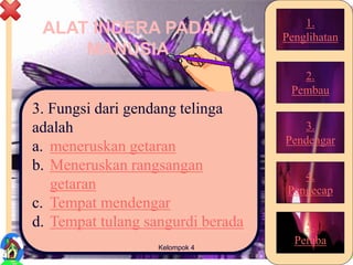 ALAT INDERA PADA
MANUSIA
3. Fungsi dari gendang telinga
adalah
a. meneruskan getaran
b. Meneruskan rangsangan
getaran
c. Tempat mendengar
d. Tempat tulang sangurdi berada
30Kelompok 4
1.
Penglihatan
2.
Pembau
3.
Pendengar
4.
Pengecap
5.
Peraba
 
