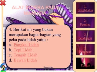 ALAT INDERA PADA
MANUSIA
4. Berikut ini yang bukan
merupakan bagia-bagian yang
peka pada lidah yaitu :
a. Pangkal Lidah
b. Tepi Lidah
c. Tengah Lidah
d. Bawah Lidah
33Kelompok 4
1.
Penglihatan
2.
Pembau
3.
Pendengar
4.
Pengecap
5.
Peraba
 