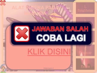 ALAT INDERA PADA
MANUSIA
35Kelompok 4
1.
Penglihatan
2.
Pembau
3.
Pendengar
4.
Pengecap
5.
Peraba
KLIK DISINI
COBA LAGI
JAWABAN SALAH
 