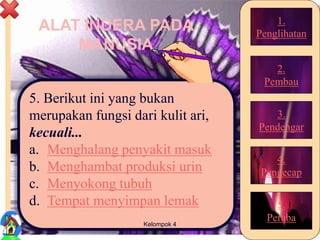 ALAT INDERA PADA
MANUSIA
5. Berikut ini yang bukan
merupakan fungsi dari kulit ari,
kecuali...
a. Menghalang penyakit masuk
b. Menghambat produksi urin
c. Menyokong tubuh
d. Tempat menyimpan lemak
36Kelompok 4
1.
Penglihatan
2.
Pembau
3.
Pendengar
4.
Pengecap
5.
Peraba
 